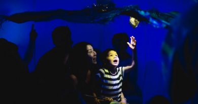 certa anak 01 | Jarak Sebagai Medium dalam "Cerita Anak" Pappermoon - Polygot