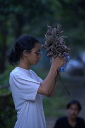 Valeria Rahmat